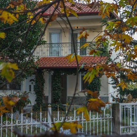 Woods Cottage Loutra Pozar Aridaia Megaplatanos المظهر الخارجي الصورة