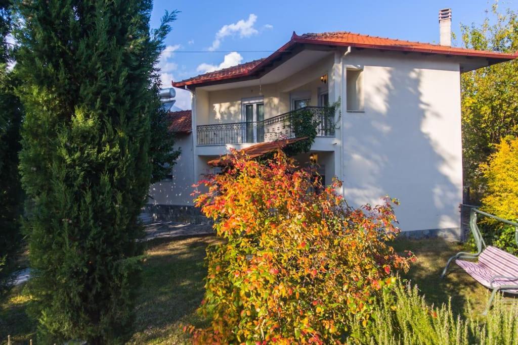 Woods Cottage Loutra Pozar Aridaia Megaplatanos المظهر الخارجي الصورة