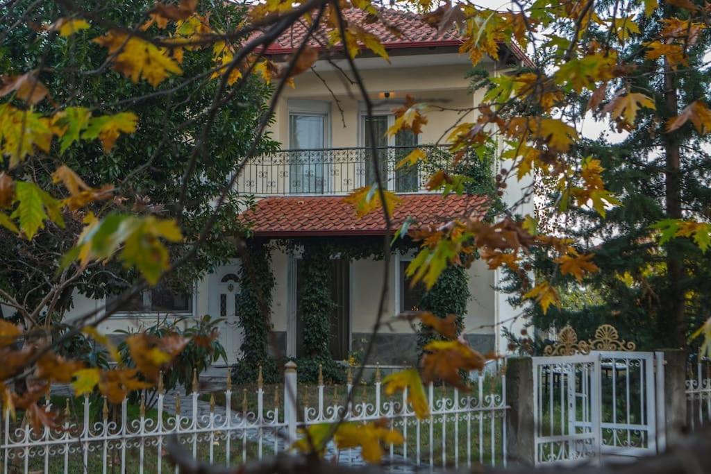 Woods Cottage Loutra Pozar Aridaia Megaplatanos المظهر الخارجي الصورة